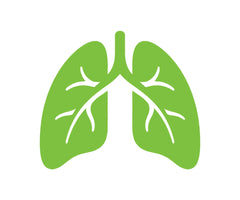 Lungs icon: ketone ester increased VO2max 6% and power 4% in athletes